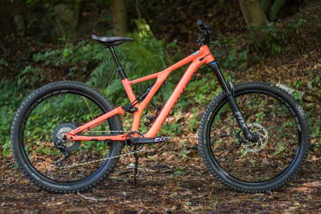 Specialized stumpjumper hotsell 2019 women's